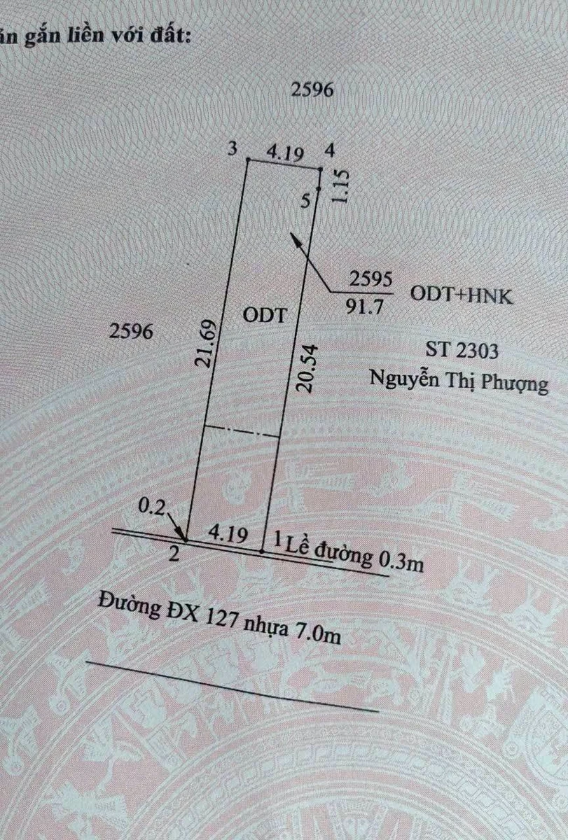 Bán lô đất 65,4m² mặt tiền Đường DX127, Thủ Dầu Một, Bình Dương - Ảnh thu nhỏ 2