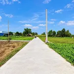 Bán 500m² đất vườn sổ riêng giá 750 triệu tại xã Mỹ Lộc, Cần Giuộc, Long An - Ảnh thu nhỏ 2