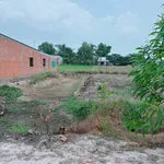 Bán lô đất thổ cư 120m² Bình Tân 480 triệu - Ảnh thu nhỏ 2