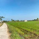 Bán đất thổ cư 1000m² Hàm Thuận 650 triệu - Ảnh thu nhỏ 2