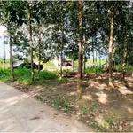 Bán vườn cao su 4973,7m2 Xã Tân Tiến Bình Phước - Ảnh thu nhỏ 1