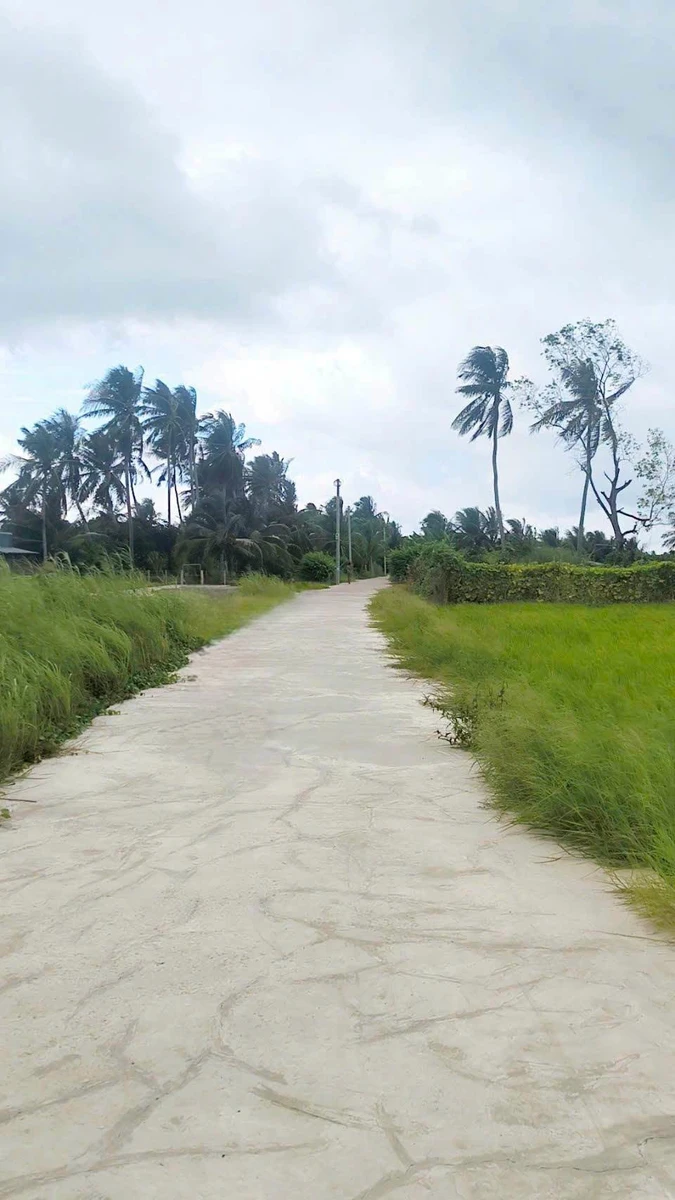 Bán đất 2.000m² đường 3/2 nối dài, Rạch Giá - Ảnh thu nhỏ 3