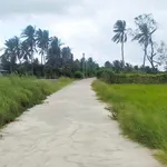 Bán đất 2.000m² đường 3/2 nối dài, Rạch Giá - Ảnh thu nhỏ 3