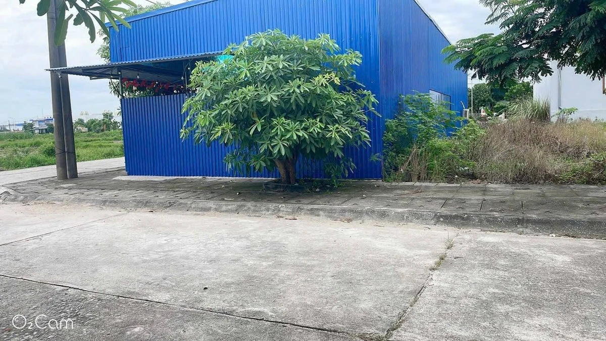 Bán đất Vườn ổi Thuỷ Nguyên 133m2 giá 3 tỷ - Ảnh 1