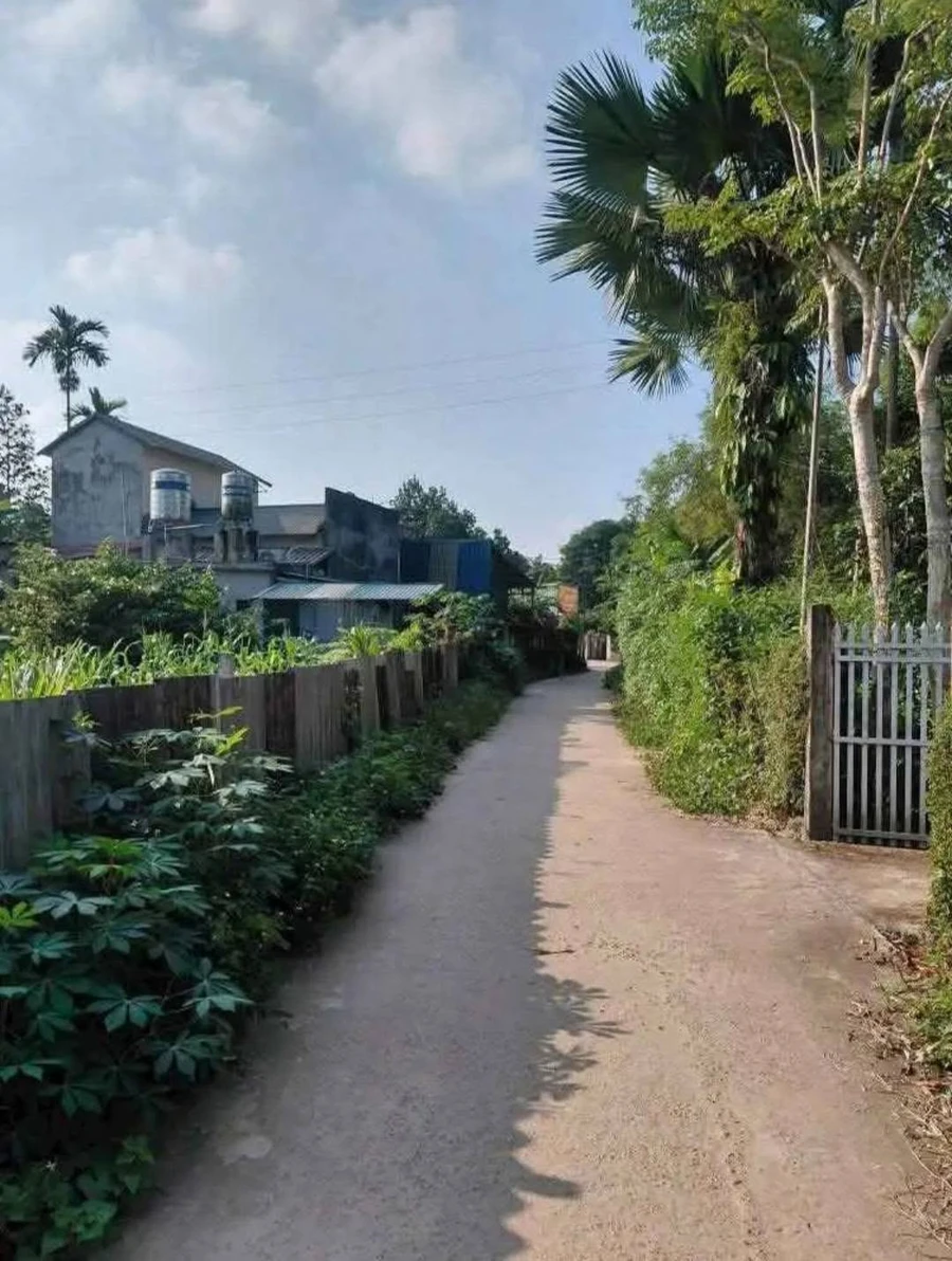 Bán lô đất 141m² Tuy Lộc 650 triệu - Ảnh 1
