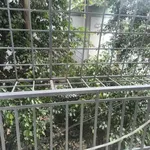 Cho thuê nhà riêng Tôn Đức Thắng 55m², 5 tầng, 17 triệu/tháng - Ảnh thu nhỏ 4