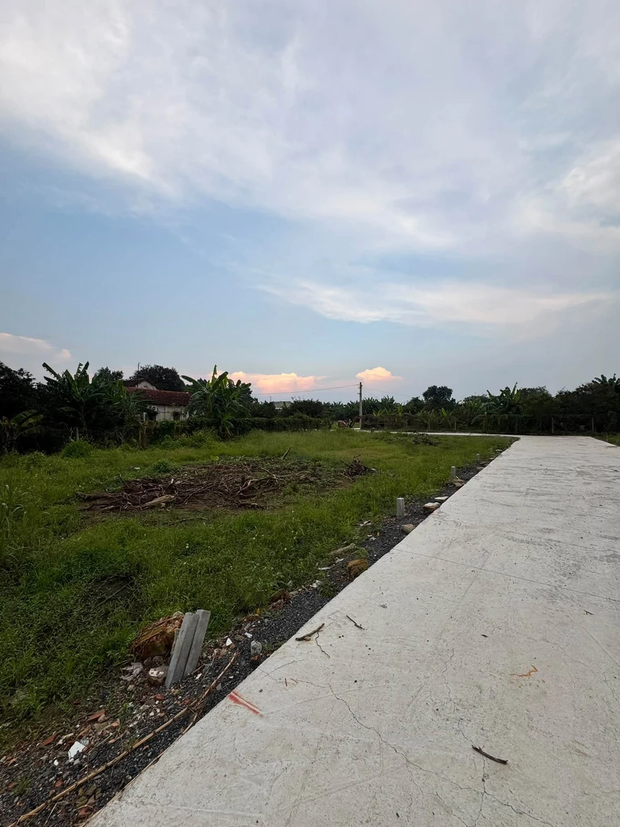 Bán đất thổ cư 4x24 = 96m² Tân Triều 950 triệu - Ảnh thu nhỏ 4