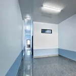 Cho thuê nhà mặt tiền Chợ Chùa, Phú Tân, Bến Tre 116m² - Ảnh thu nhỏ 3