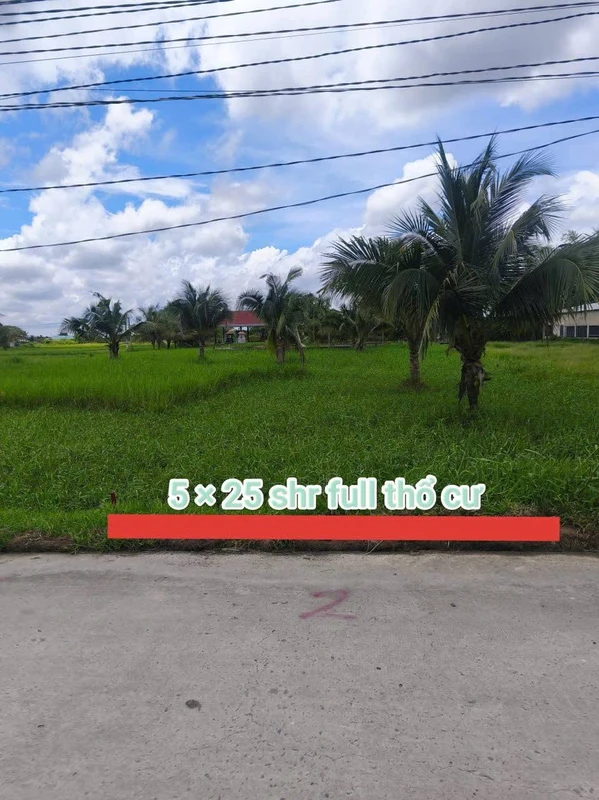 Bán đất 125m² Đức Hòa Thượng, Long An 850 triệu