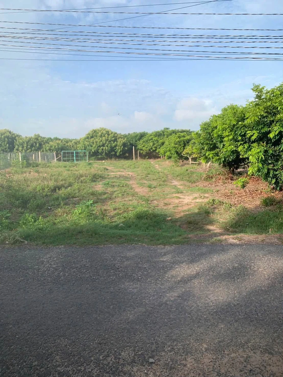 Bán đất hẻm 256m² Nguyễn Lương Bằng 496 triệu - Ảnh thu nhỏ 2