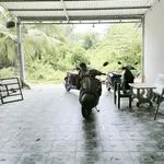 Bán nhà Phường 6, Quận 5 127m² giá 550 triệu - Ảnh thu nhỏ 3