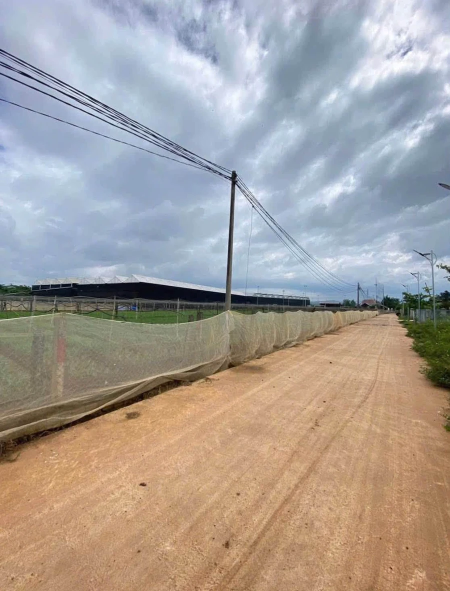 Bán đất Bình Thạnh 8.5 sào (8500m²) 8 tỷ 6 - Ảnh thu nhỏ 3
