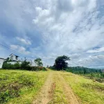 Bán đất nông nghiệp 2ha Eakao, Buôn Ma Thuột, 400 triệu/sào - Ảnh thu nhỏ 3