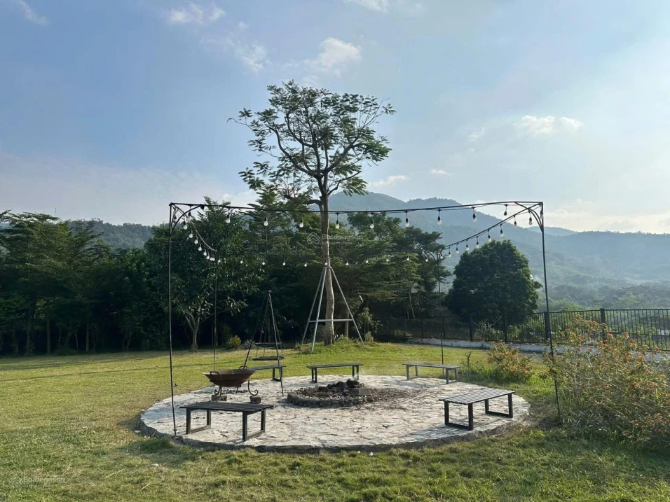 Chủ villa cực đẹp thực sự cần bán gấp 4300m2 Cư Yên Lương Sơn các bác đàm phán thoải mái - Ảnh thu nhỏ 4