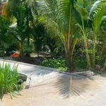 Bán đất vườn dừa 8 công mặt tiền Vĩnh Long - Ảnh thu nhỏ 2