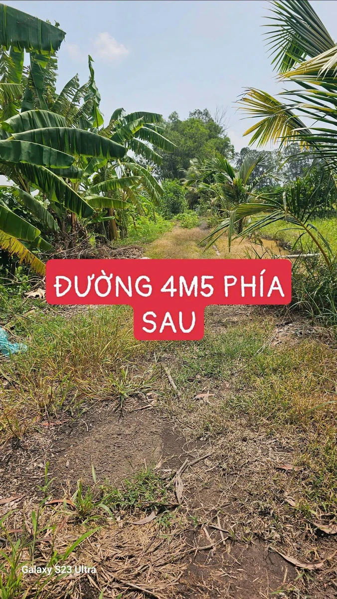 Bán đất vườn 500m² Tân Thành Thủ Thừa - Ảnh thu nhỏ 5