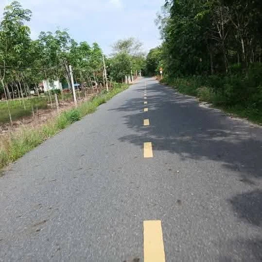 Bán đất mặt tiền Phường Long Nguyên Bàu Bàng hơn 700 triệu - Ảnh thu nhỏ 2