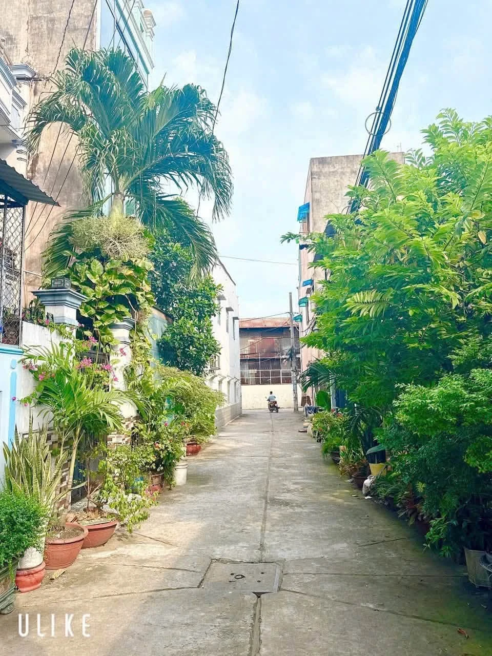 Bán nhà hẻm 2 phòng Tân Hòa Đông, Bình Tân, 56.4m² - Ảnh 1