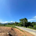 Bán đất nền Diên Thọ Cầu Rút 73.6m² 385 triệu - Ảnh thu nhỏ 1