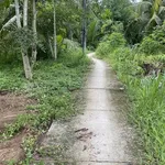 Bán đất 2.700m² (300m² thổ cư) Xã Lương Phú, Bến Tre - Ảnh thu nhỏ 3