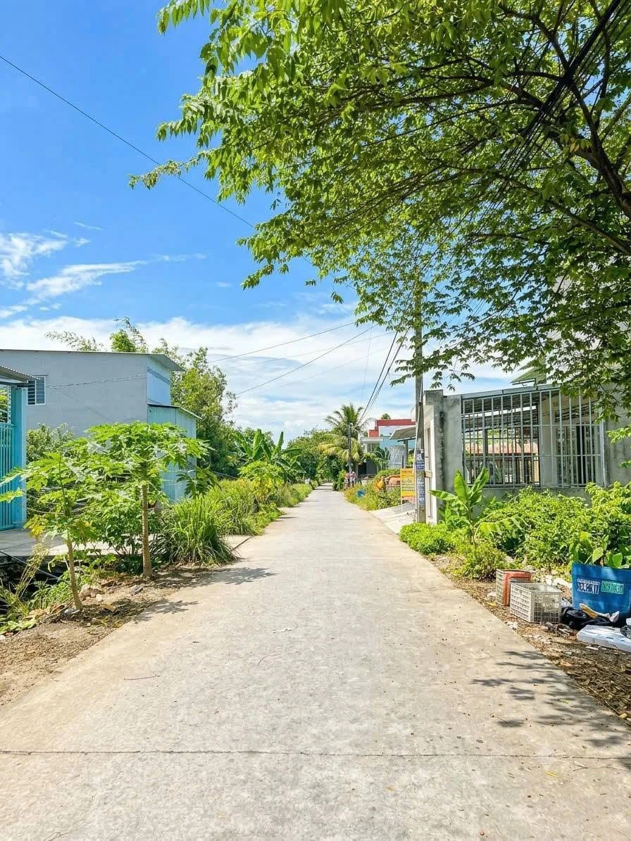 Bán đất 80m² sổ riêng Bình Chánh gần KDC An Hạ - 2 tỷ - Ảnh thu nhỏ 2