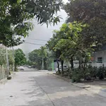 Bán đất phân lô 100m2 Trung Sơn Bích Đào, Bình Chánh - Ảnh thu nhỏ 3