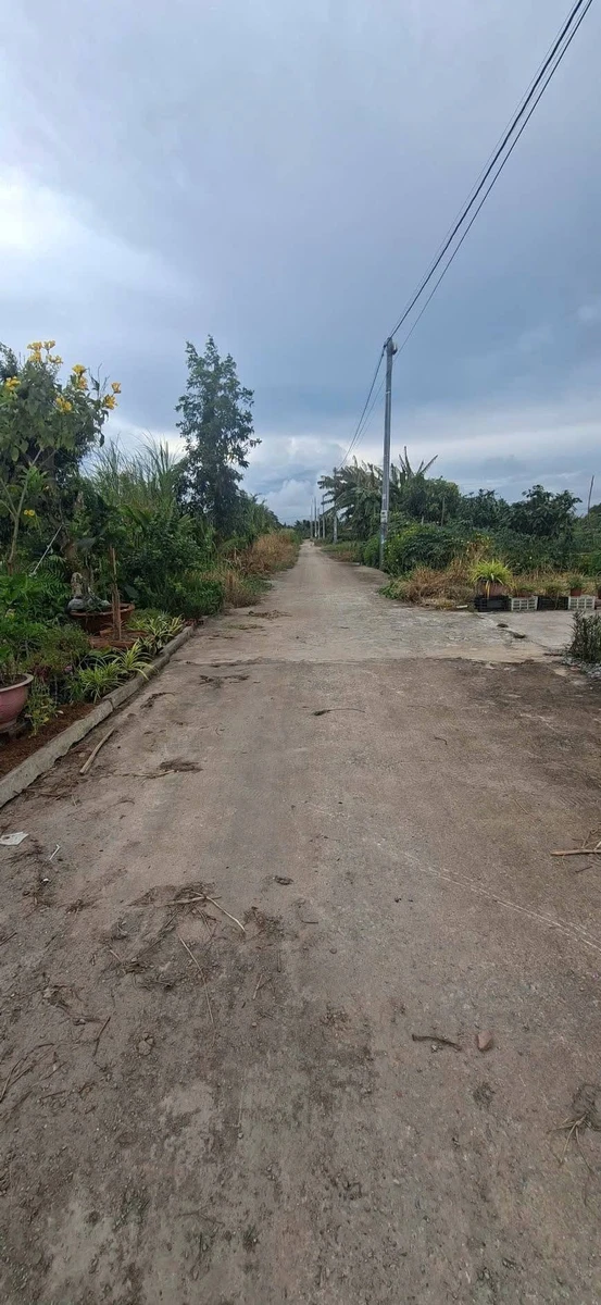 Bán 3 nền đất liền kề 200m² Thạnh Lộc An Giang 420tr/nền - Ảnh thu nhỏ 2