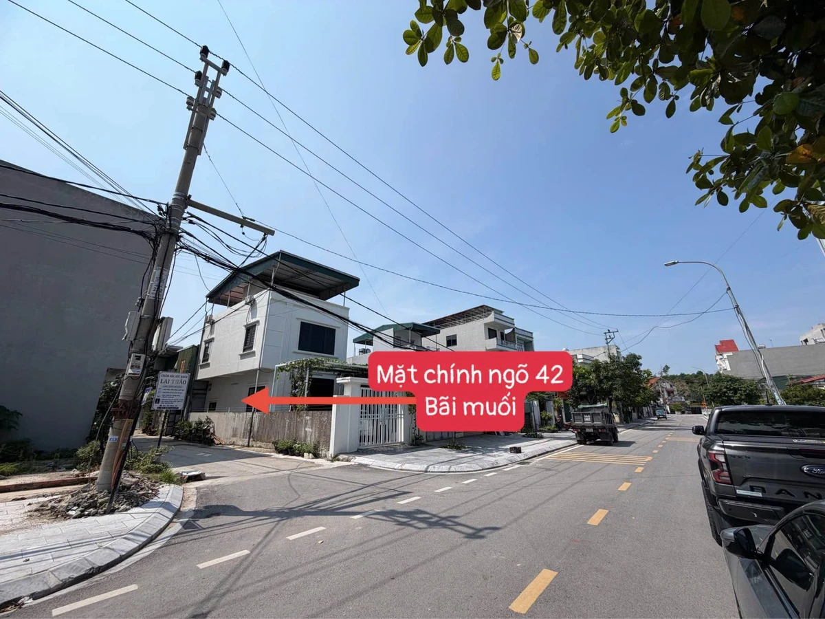 Bán đất Ngõ 42 Bãi Muối 101m² giá 3 tỷ 150 - Ảnh thu nhỏ 4