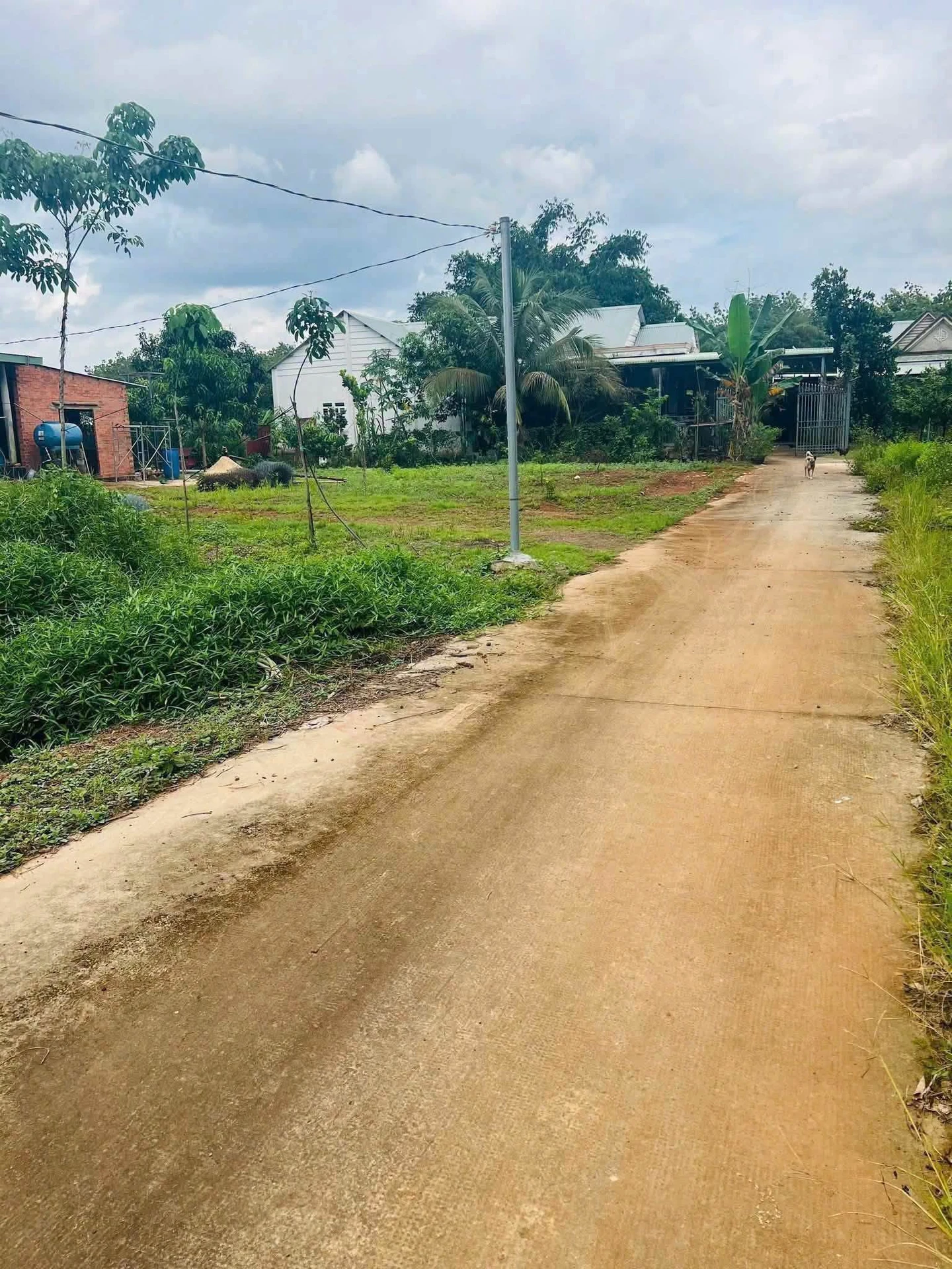 Bán 2 lô đất thổ cư Tân Phước giá rẻ 290 và 390 triệu - Ảnh 1