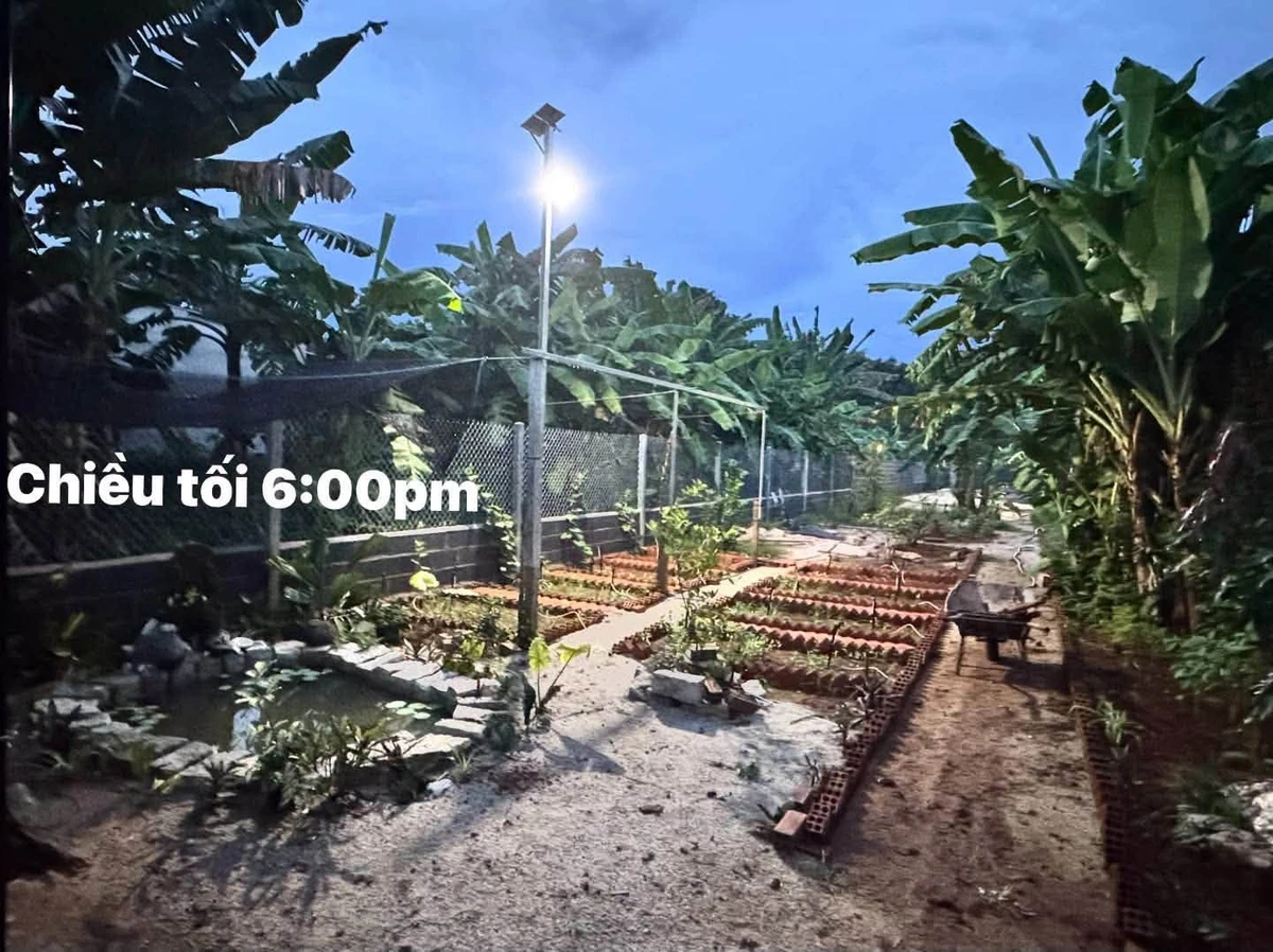 Bán đất 2 mặt tiền Hòa Long 535m² Tam Long Bà Rịa 3.2 tỷ - Ảnh thu nhỏ 3