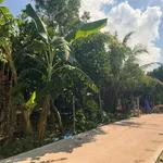 Bán 500m² đất vườn trái cây Long Khánh, Đồng Nai - Ảnh thu nhỏ 5