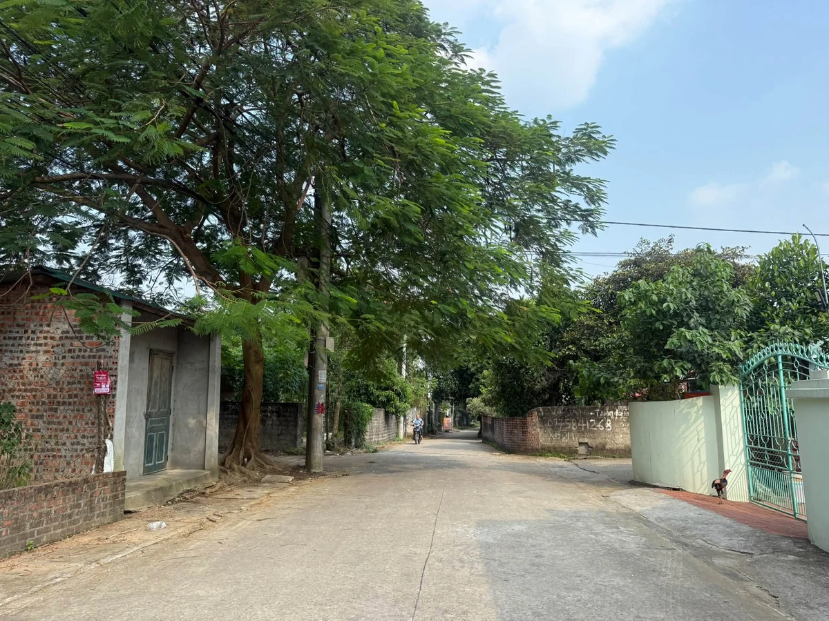 Bán đất 100m² Cẩm Đội Thuỵ Vân sát chợ Sheshin - Ảnh 1