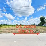 Bán đất thổ cư 5x50m Phước Tây, Tây Ninh 399 triệu - Ảnh thu nhỏ 4
