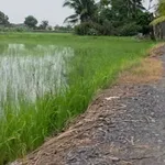 Bán đất lúa 1800m² Xã Nhựt Tảo Tây Ninh 520 triệu - Ảnh thu nhỏ 3