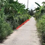Bán lô đất thổ cư 5x28m (140m²) Châu Thành, Long An - 490 triệu - Ảnh thu nhỏ 1