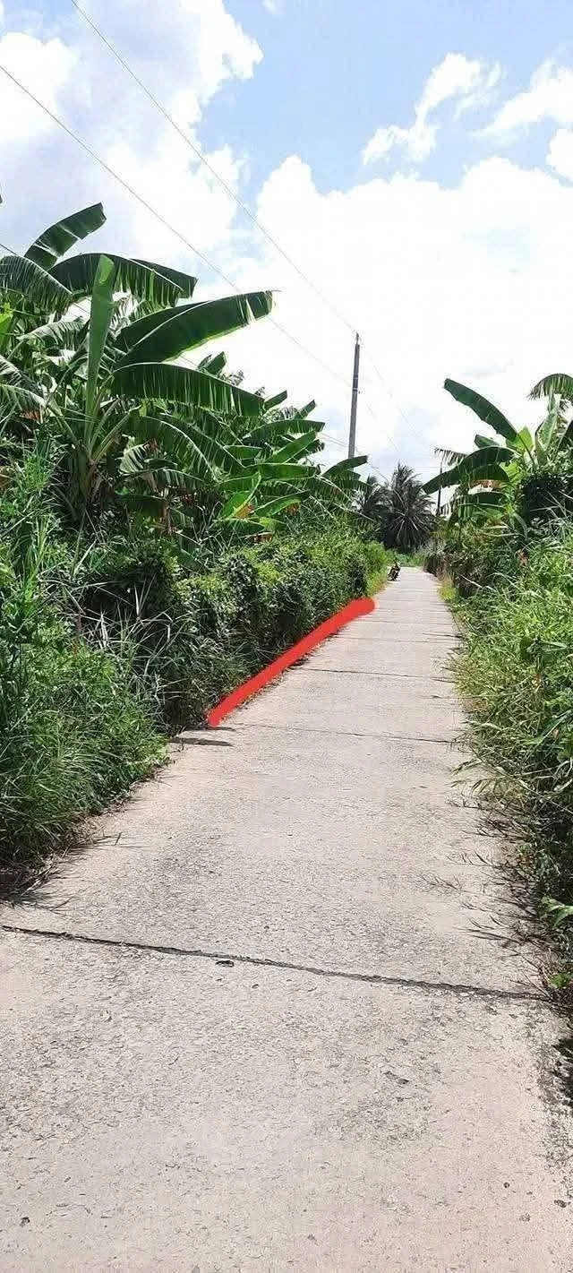 Bán lô đất thổ cư 5x28m (140m²) Châu Thành, Long An - 490 triệu - Ảnh 1