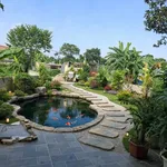 Nhà vườn 250m² sổ đỏ sẵn Chương Mỹ, Hà Nội - Ảnh thu nhỏ 1
