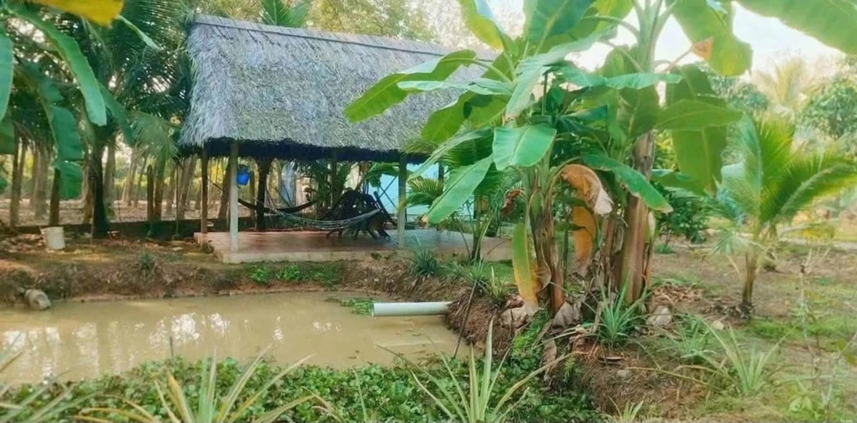 Bán nhà vườn An Điền 1.411m2, giá 4,5 tỷ - Ảnh thu nhỏ 4