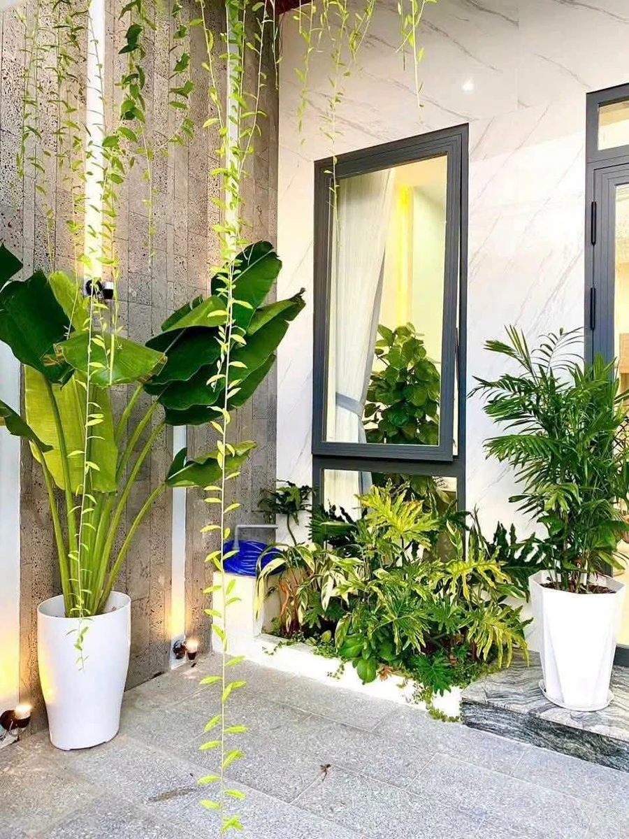 Bán nhà mặt tiền Sương Nguyệt Anh, Rạch Giá, 93m², 2 PN - Ảnh thu nhỏ 4