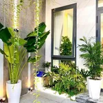 Bán nhà mặt tiền Sương Nguyệt Anh, Rạch Giá, 93m², 2 PN - Ảnh thu nhỏ 4