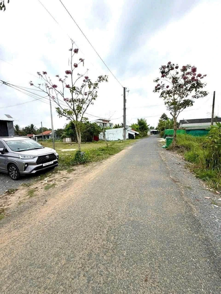 Bán đất thổ cư mặt tiền Lê Thị Trâm 140m² Tân An, Long An - Ảnh 1