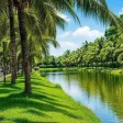 Quỹ 200 căn đẹp T10/2026 Vinhomes Grand Park những căn đáng sở hữu nhất - vị trí đẹp - Ảnh thu nhỏ 23