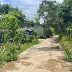 Bán đất 3 hectare 400 triệu Đồng Tâm Cần Giờ - Ảnh thu nhỏ 2