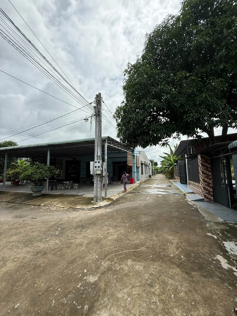 Bán đất Giồng Tre Bình Minh Tây Ninh 378m² 600 triệu - Ảnh thu nhỏ 4