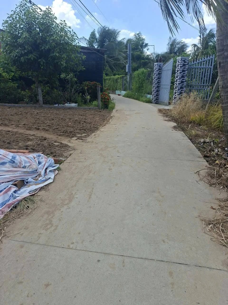 Bán đất nền 125m² Tam Hiệp, Châu Thành, Tiền Giang - Ảnh 1