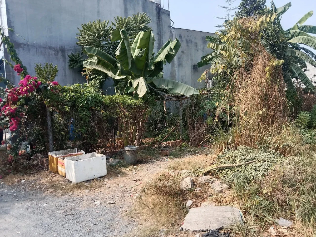 Bán đất sổ hồng riêng 170m² Trảng Dài - Ảnh 1