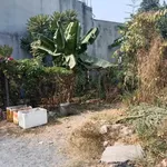 Bán đất sổ hồng riêng 170m² Trảng Dài - Ảnh thu nhỏ 1