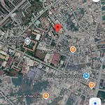 Bán đất 5x25m (80m2 thổ cư) gần đường 30/4, Chánh Nghĩa, Thủ Dầu Một - Ảnh thu nhỏ 2