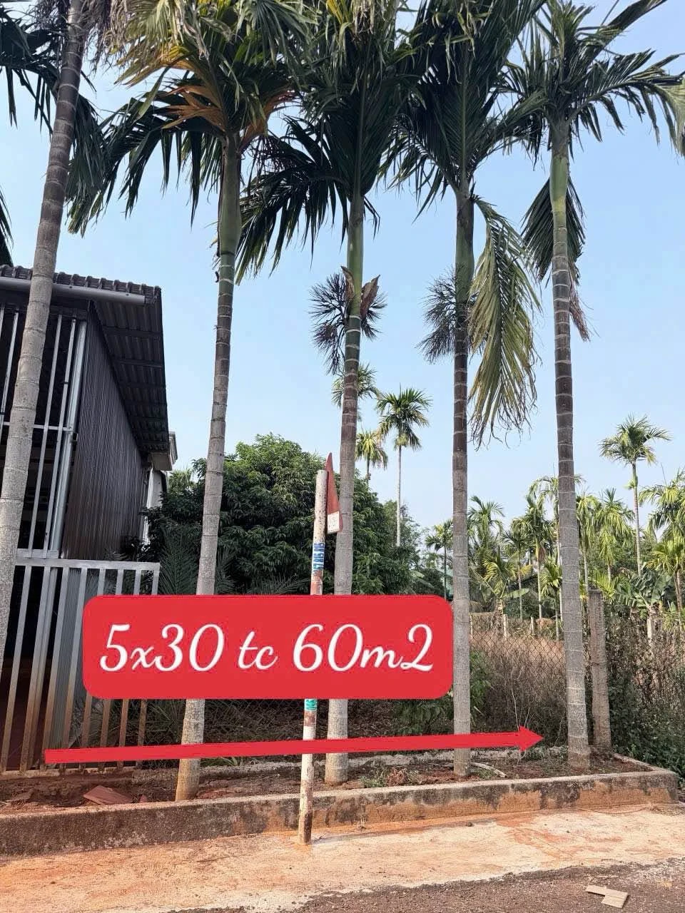Bán đất Đạt Lý đường 20A, 150m², 1 tỷ 690 triệu - Ảnh 1