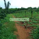 Bán đất 1,58 ha Thôn 7 Đăk Hạ Đắk Nông - Ảnh thu nhỏ 2